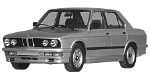 BMW E28 C203C Fault Code