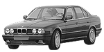 BMW E34 C203C Fault Code